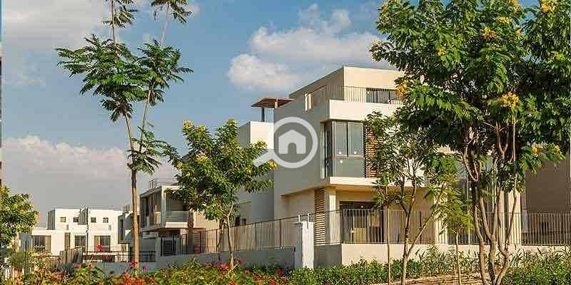 19 d1eec921-e07d-487c-af4b-a62278c47cc4. jpg