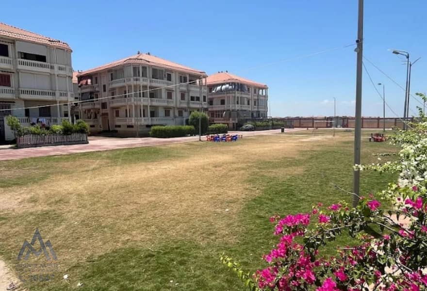 3 27b901fc-da2f-4dbb-90f3-98fc8127c6e0. jpg