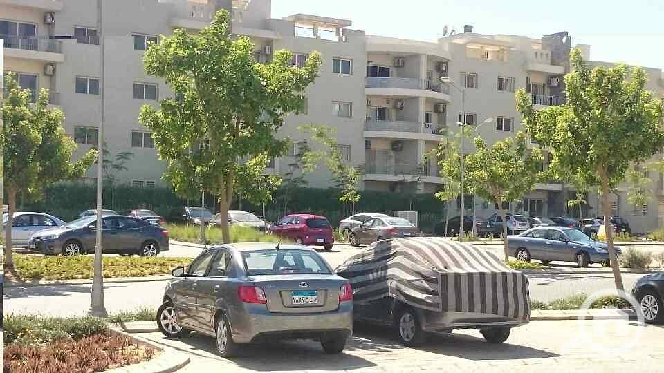 4 DSC_0019_resized_20170424_012953315. JPG