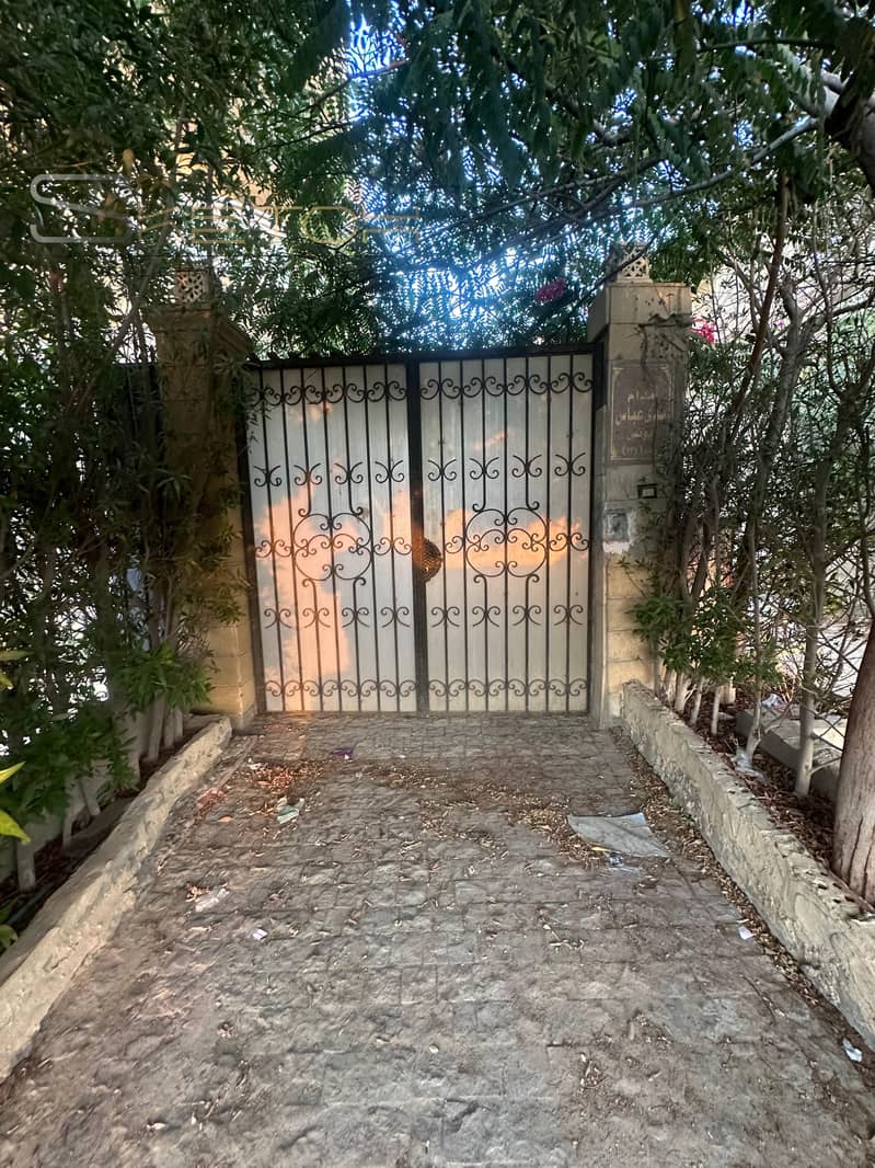 2 WhatsApp Image 2025-02-04 at 3.22. 50 PM. jpeg