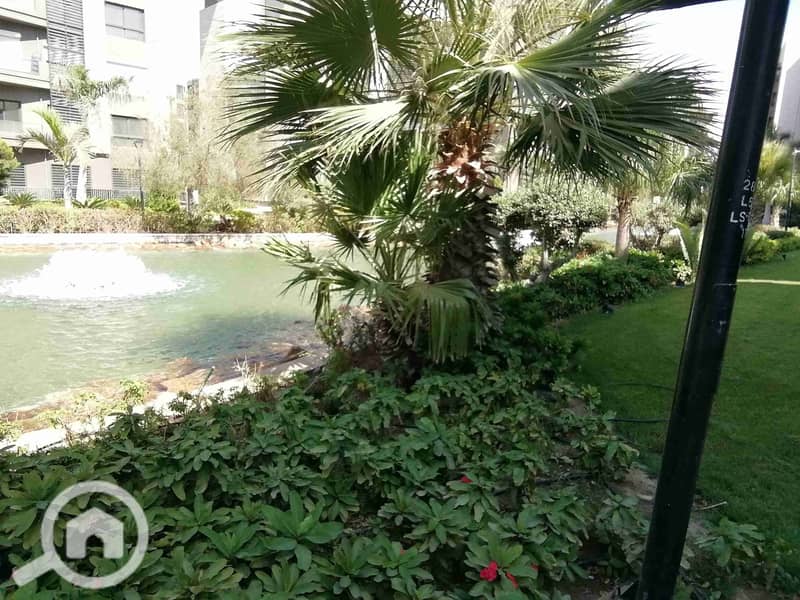 4 IMG_20250929_141004. jpg