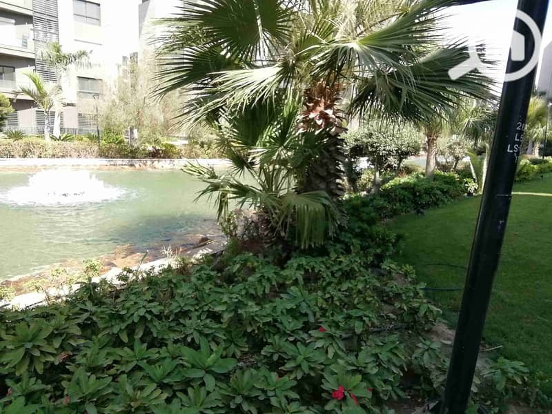 12 IMG_20250929_141005_1. jpg