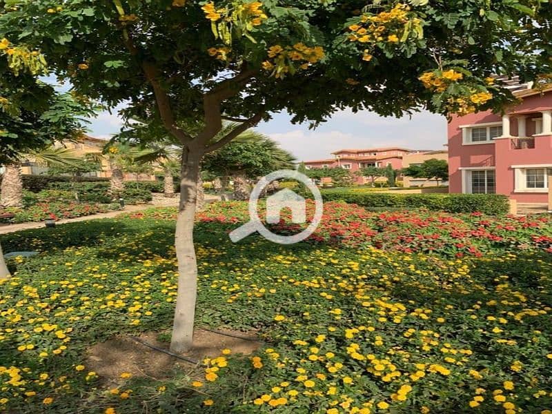 11 WhatsApp Image 2024-11-20 at 12.02. 11 PM (1). jpeg