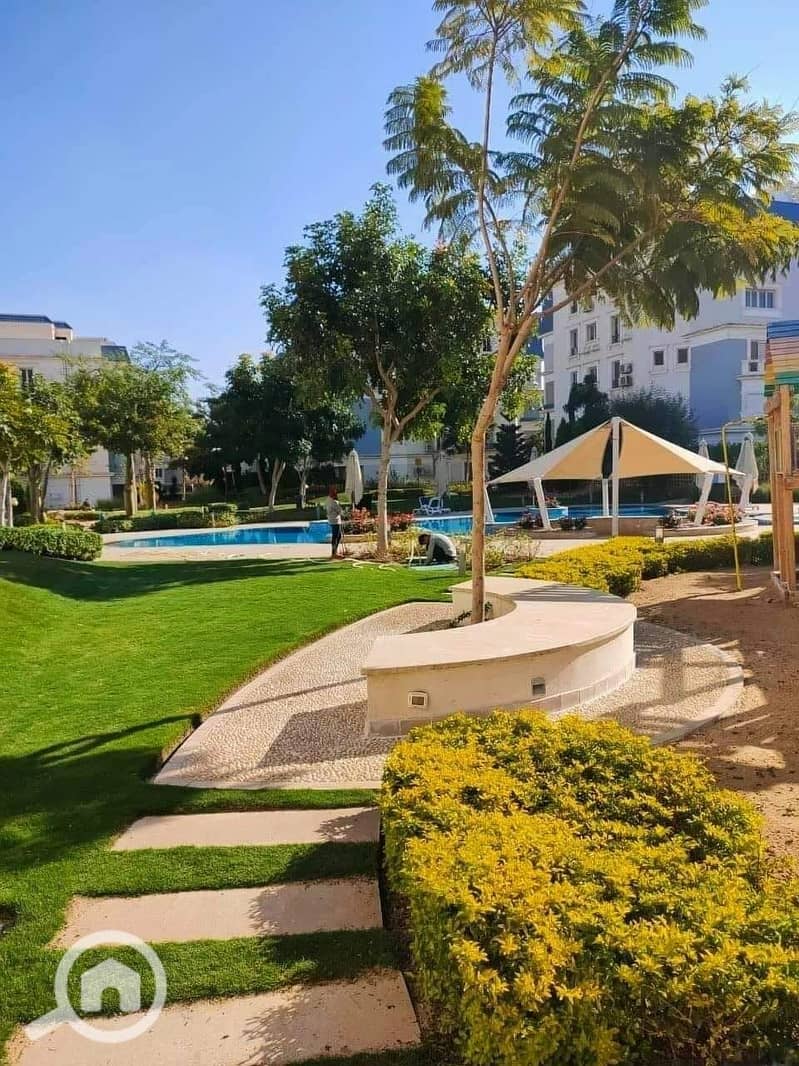 2 438264262_461342186344559_473812418133587267_n. jpg