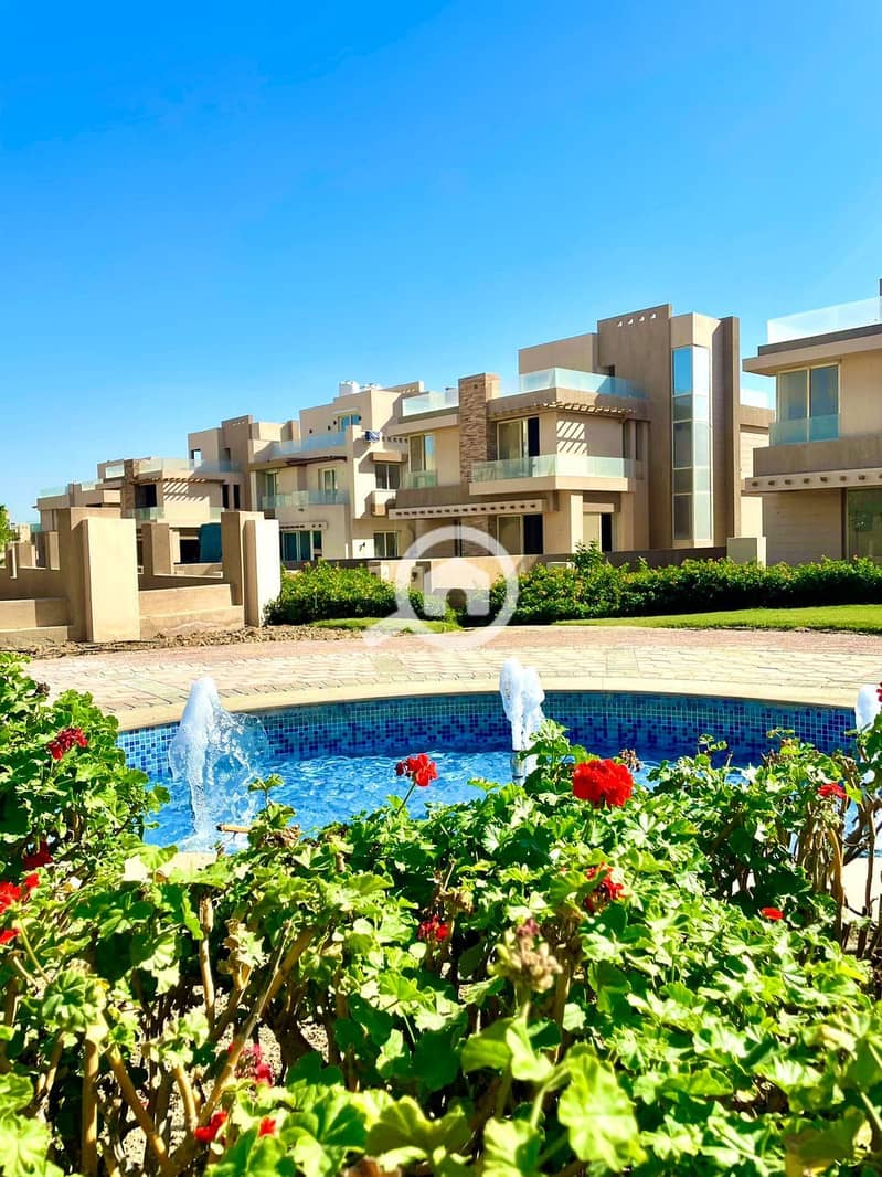 3 439255143_900666325191506_1780265099833252553_n. jpg