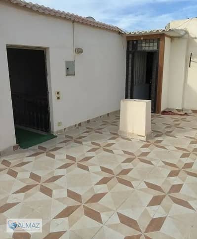 فلیٹ 2 غرفة نوم للايجار في القاهرة الجديدة، القاهرة - WhatsApp Image 2025-12-06 at 12.43. 20 PM (2). jpeg