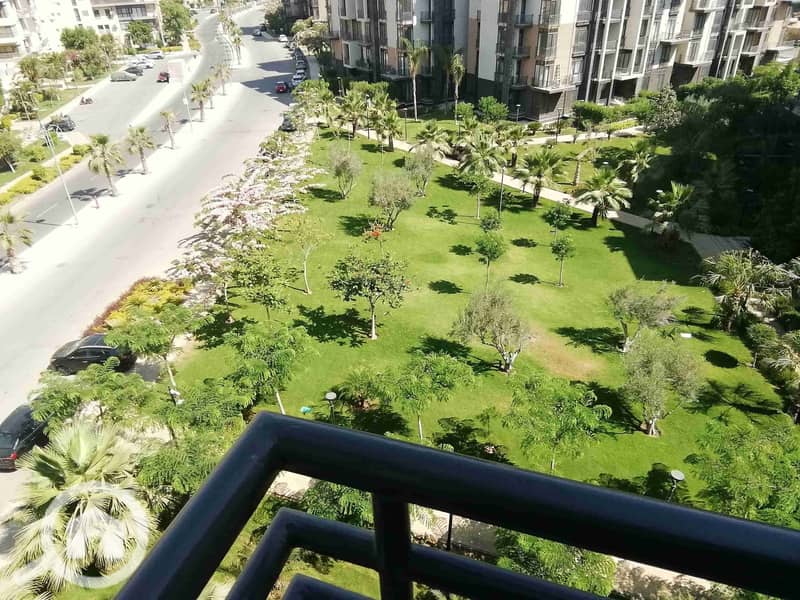 2 IMG_20250619_154819_1. jpg