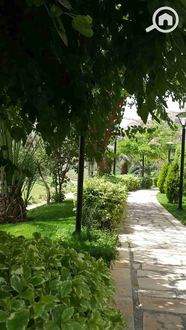 10 IMG-20201125-WA0006. jpg