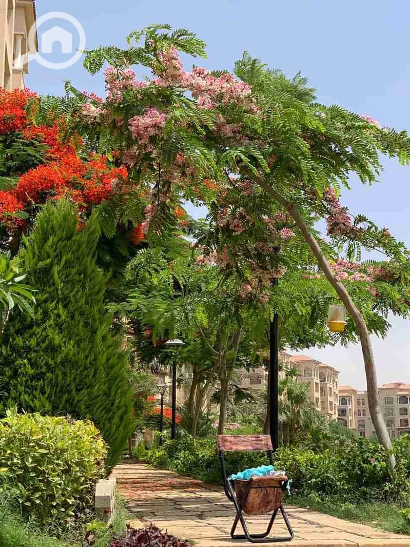 11 IMG-20201125-WA0007. jpg