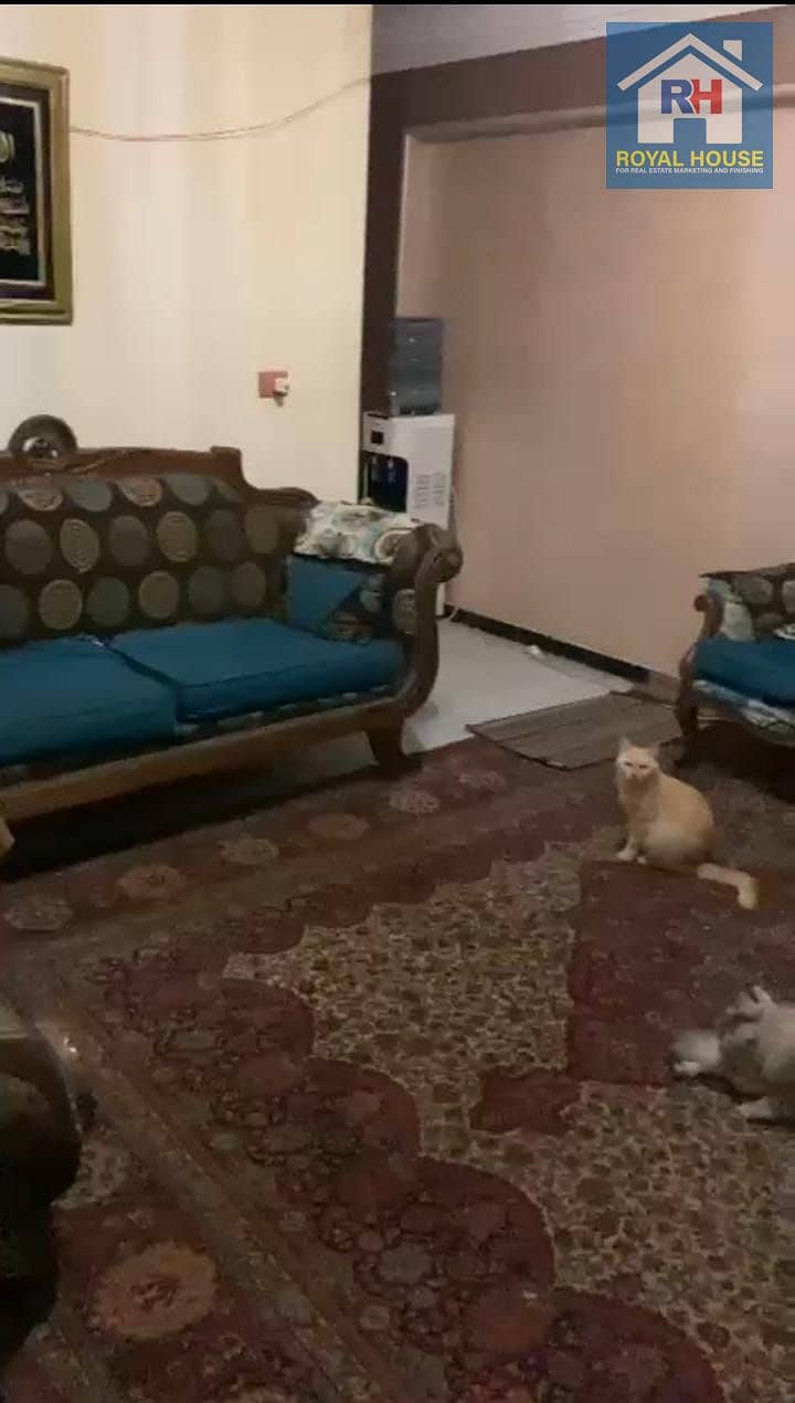 4 4be66793-5ef3-43b2-a307-bd9f8cf0c8b0. jpeg