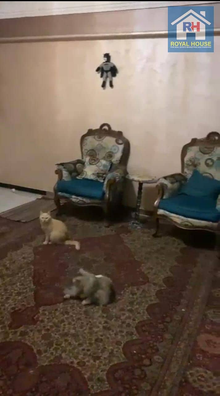 10 a1233d06-3a46-47b4-9aaa-98798d6f31ce. jpeg