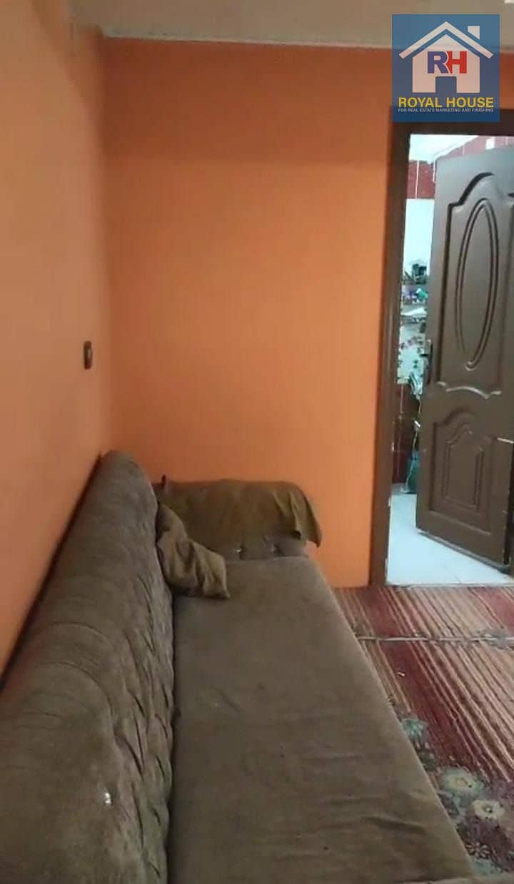 11 bd85a0e3-c02e-4886-82b9-4611ddc95187. jpeg