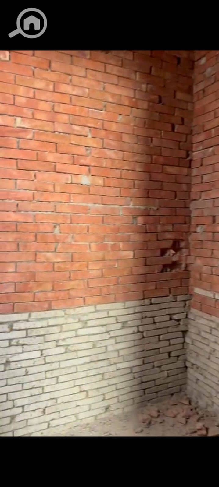 7 WhatsApp Image 2025-12-07 at 12.17. 58 PM (1). jpeg