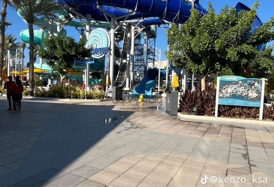 3 394afa67-0752-475d-84a1-daa874de57a1. jpg