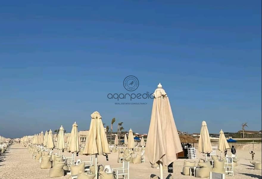 5 991ee126-b182-439e-bc4a-55883fa32904. jpg