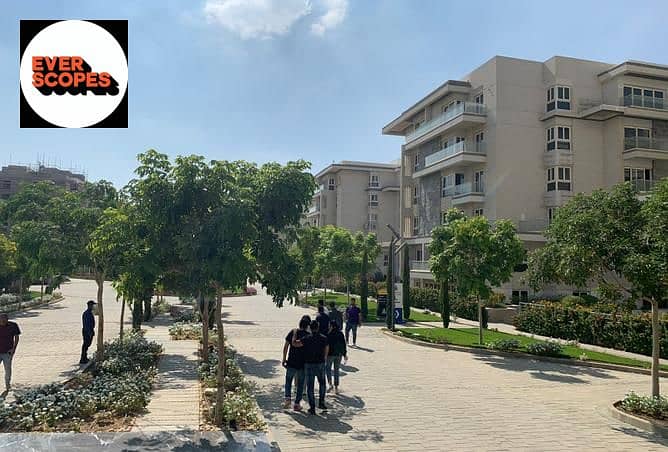 2 3844321-aa0a4o. jpg