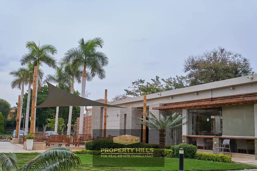 8 PHOTO-2024-10-26-15-28-19. jpg