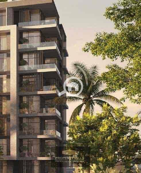 2 9ae3642b-49e3-43a4-91b1-f61eea69fefc. jpg