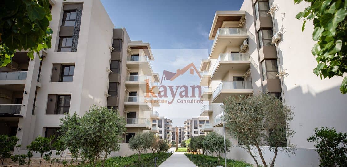 15 70817426-24a7-4570-bf13-31ca14d0e972. jpg