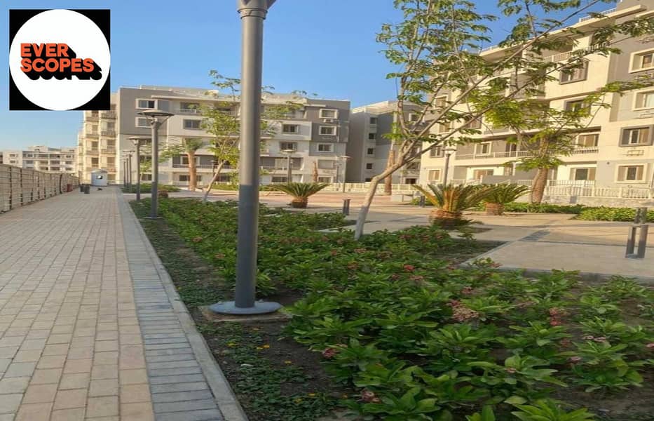 8 ce6472c7-afb0-4462-8b98-2f15fd62a407. jpg