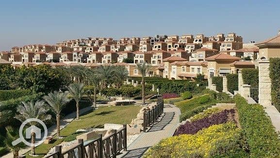 6 1735470794418. jpg