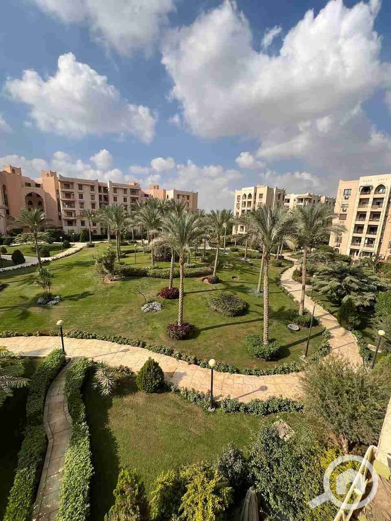 1000677623. jpg 1000677623. jpg