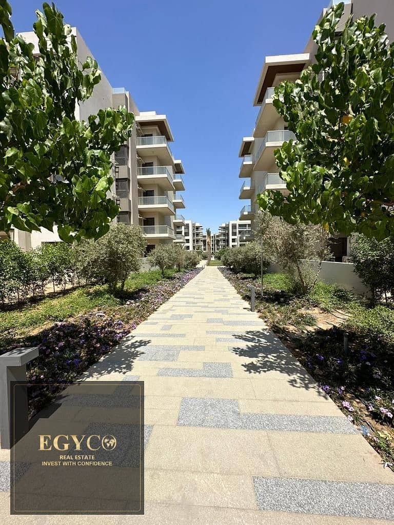 4 faaf05c3-d20f-4466-8626-e1c228cb78c3. jpg