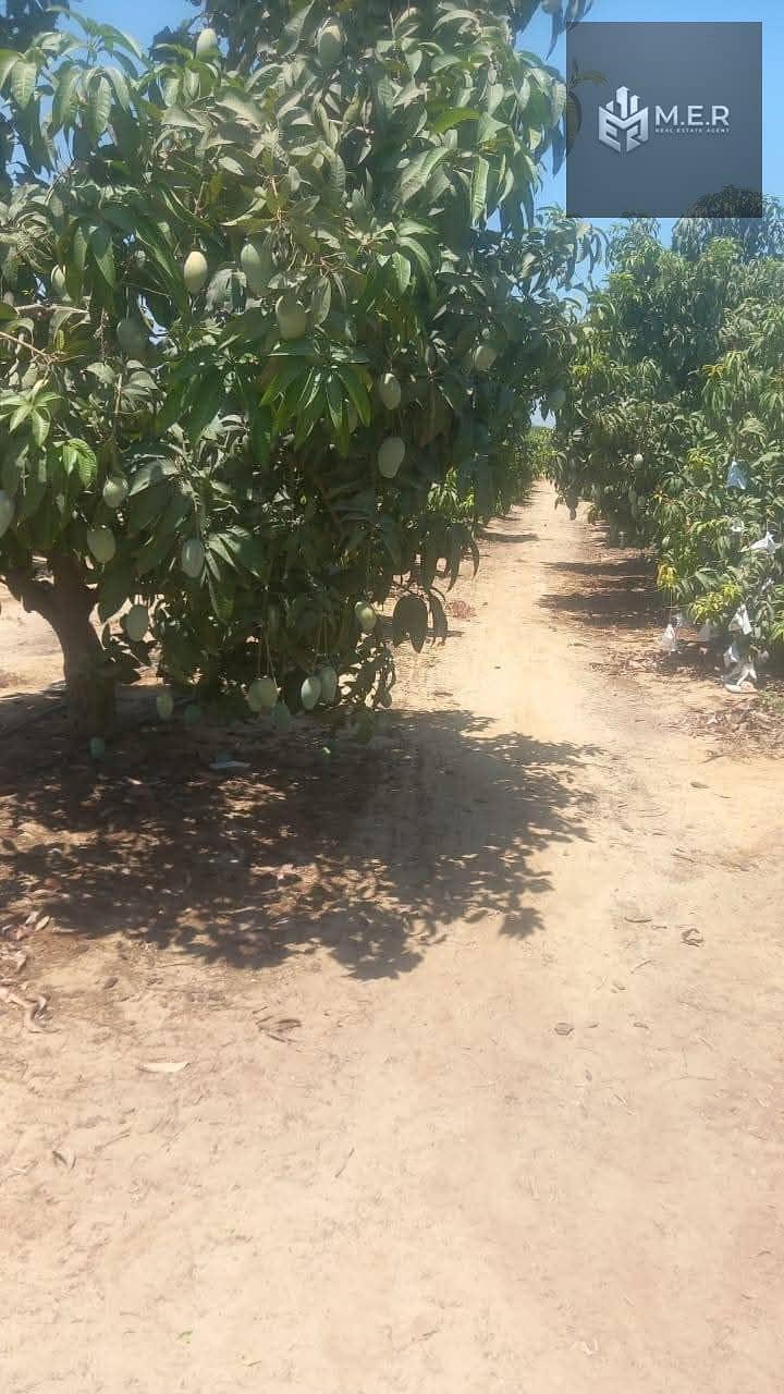 4 IMG-20251126-WA0194. jpg