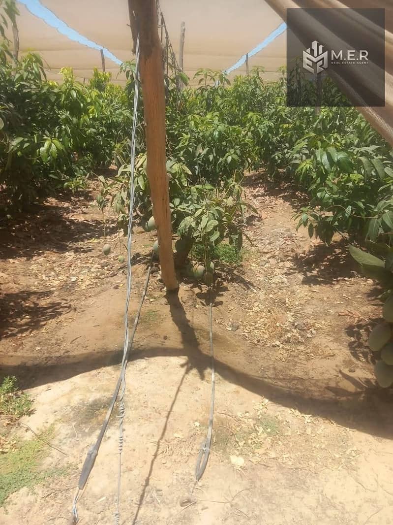 5 IMG-20251126-WA0195. jpg