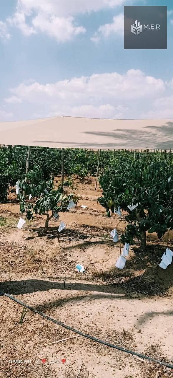 6 IMG-20251126-WA0196. jpg