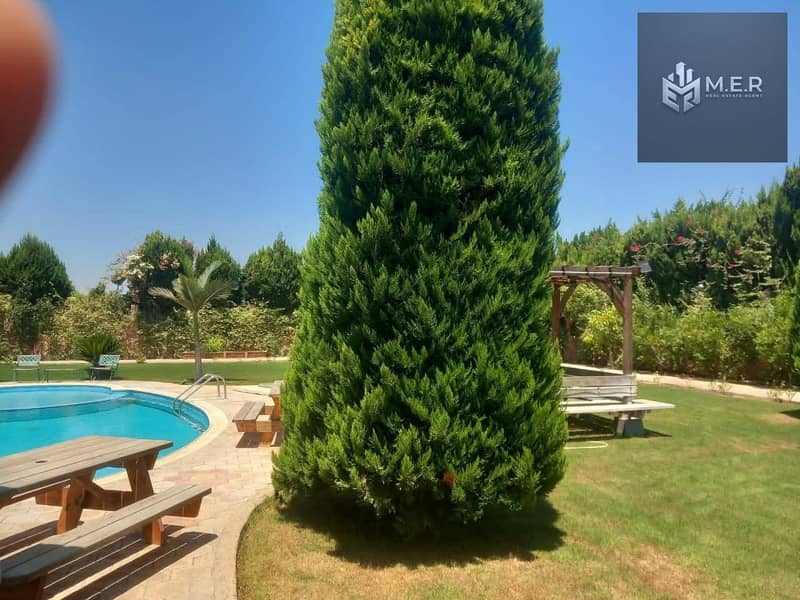 8 IMG-20251126-WA0198. jpg