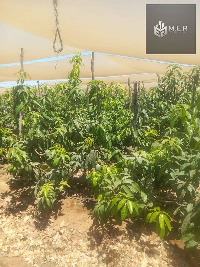 11 IMG-20251126-WA0202. jpg