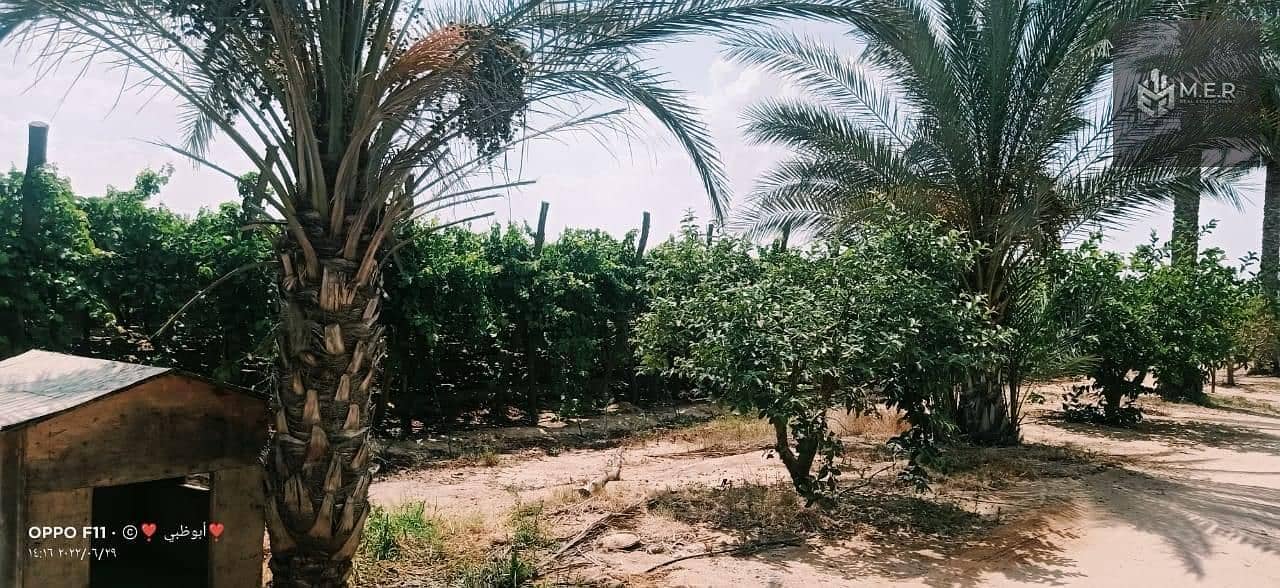 12 IMG-20251126-WA0203. jpg