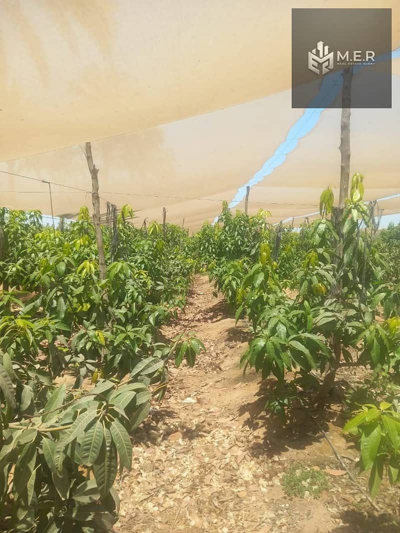 13 IMG-20251126-WA0204. jpg