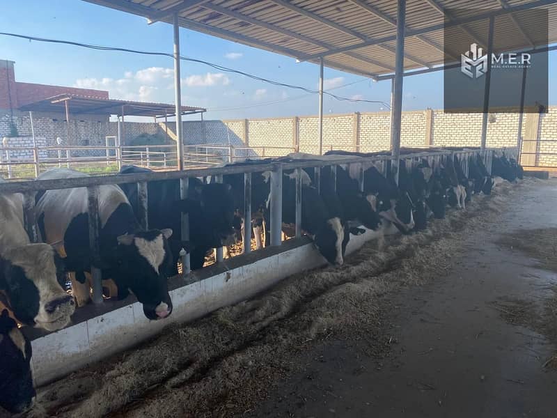 14 IMG-20251126-WA0205. jpg