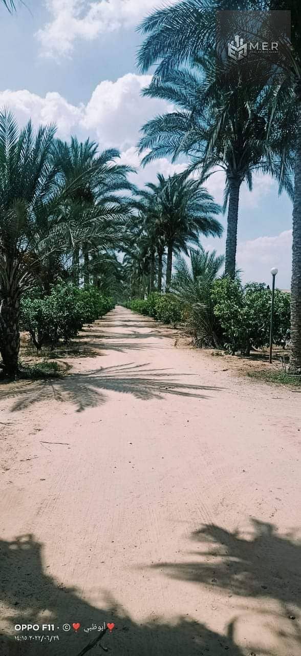 17 IMG-20251126-WA0208. jpg