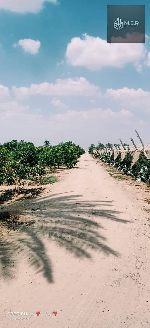 19 IMG-20251126-WA0210. jpg