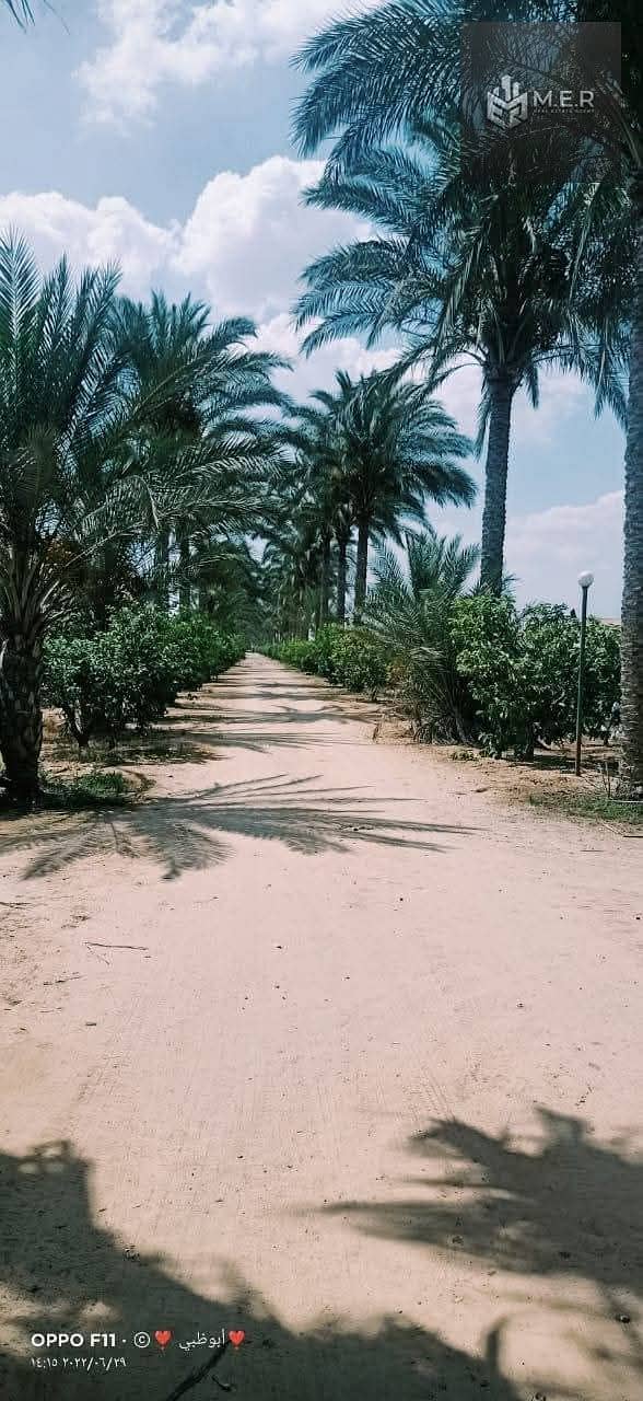 20 IMG-20251126-WA0211. jpg