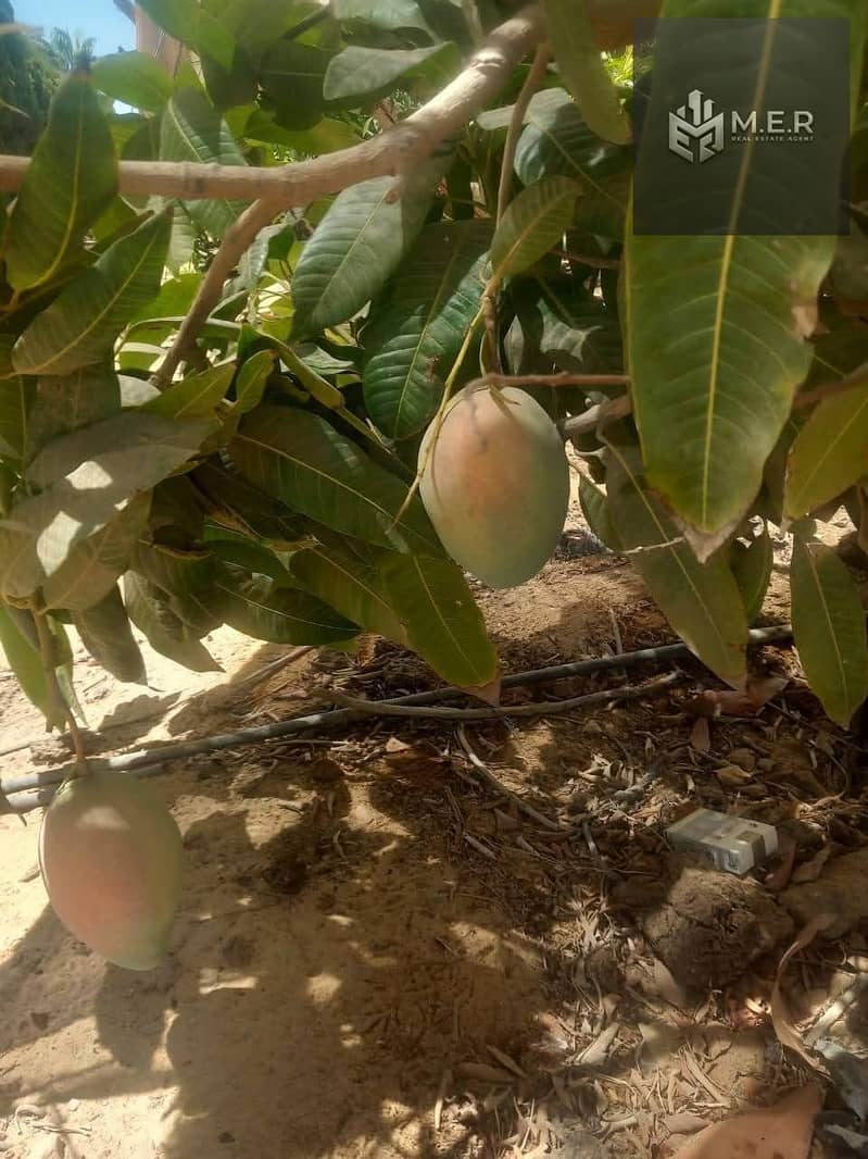 21 IMG-20251126-WA0212. jpg