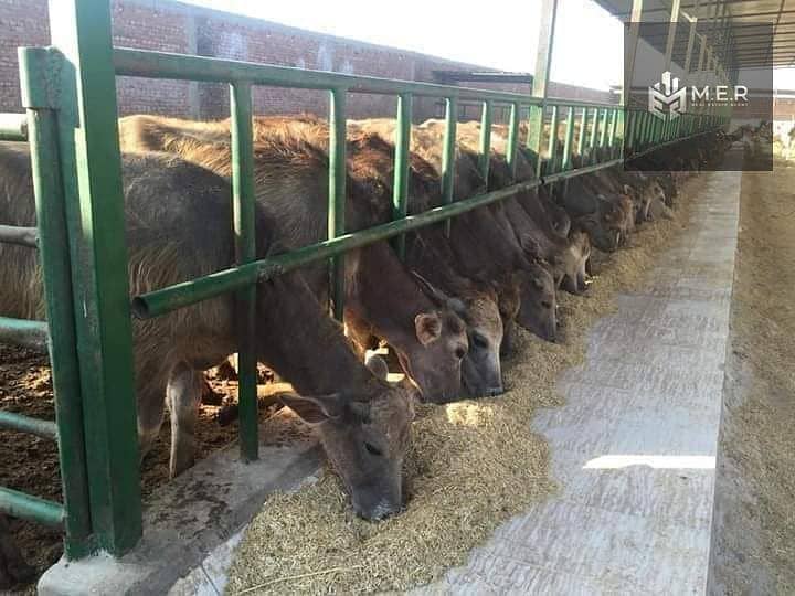 22 IMG-20251126-WA0213. jpg