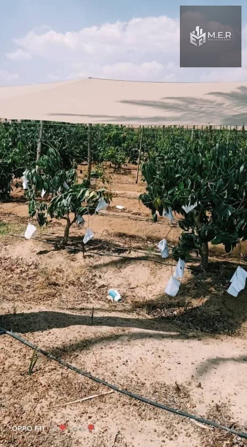 24 IMG-20251126-WA0215. jpg