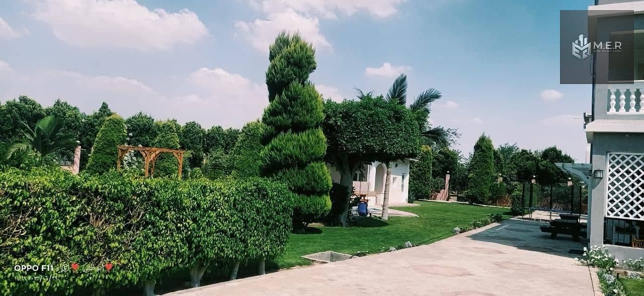 26 IMG-20251126-WA0217. jpg