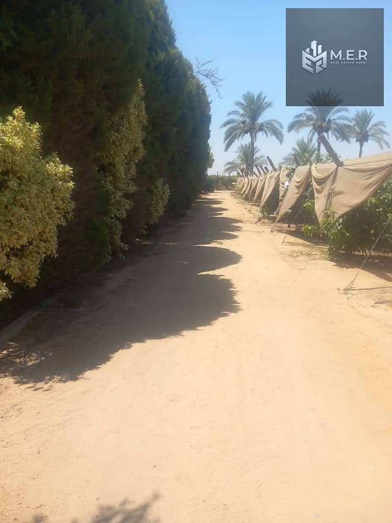 27 IMG-20251126-WA0218. jpg