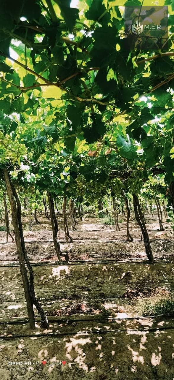 28 IMG-20251126-WA0219. jpg