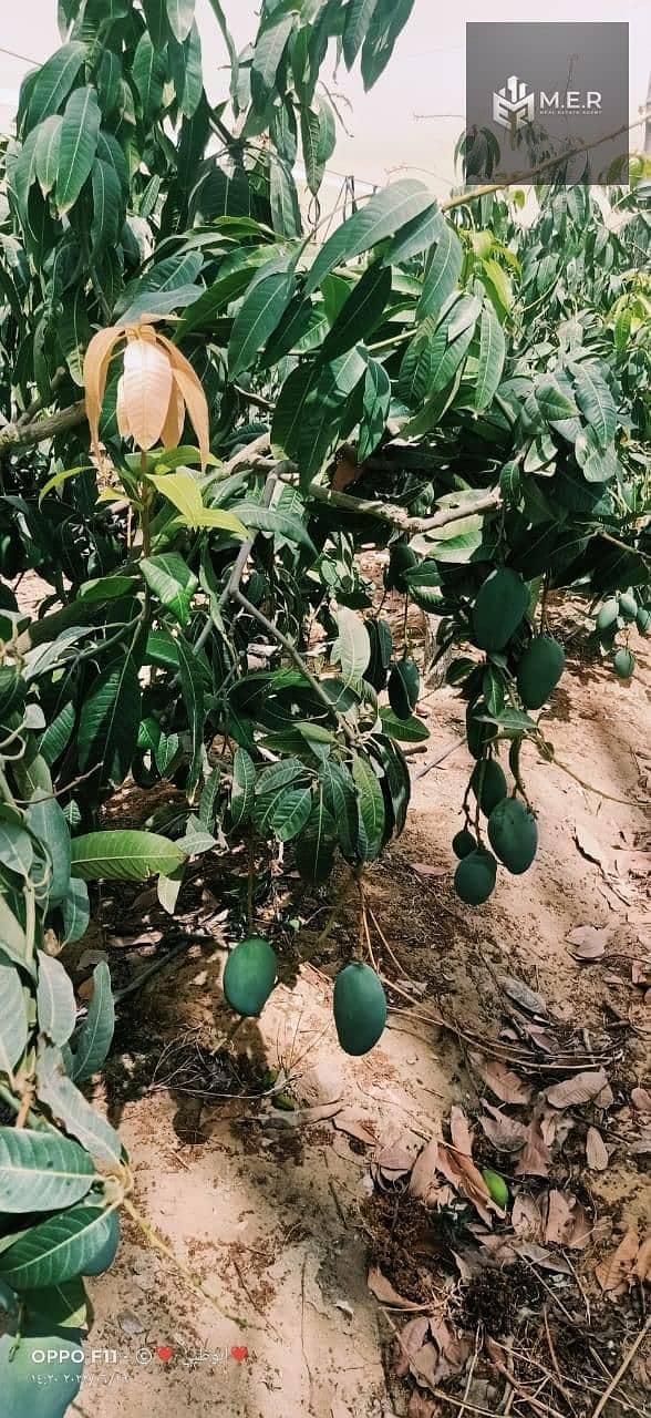 29 IMG-20251126-WA0220. jpg