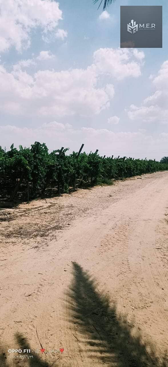 33 IMG-20251126-WA0224. jpg