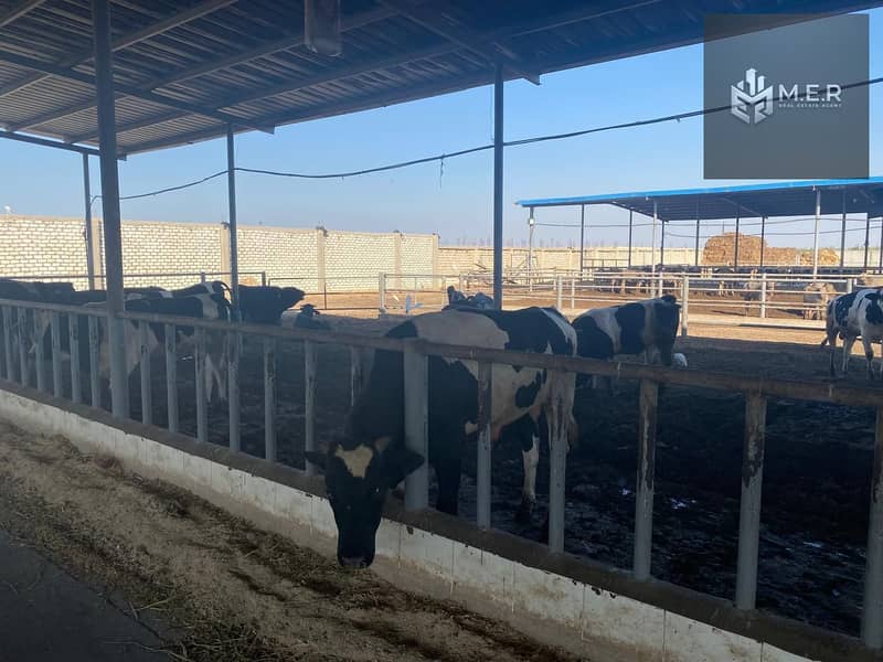 34 IMG-20251126-WA0225. jpg