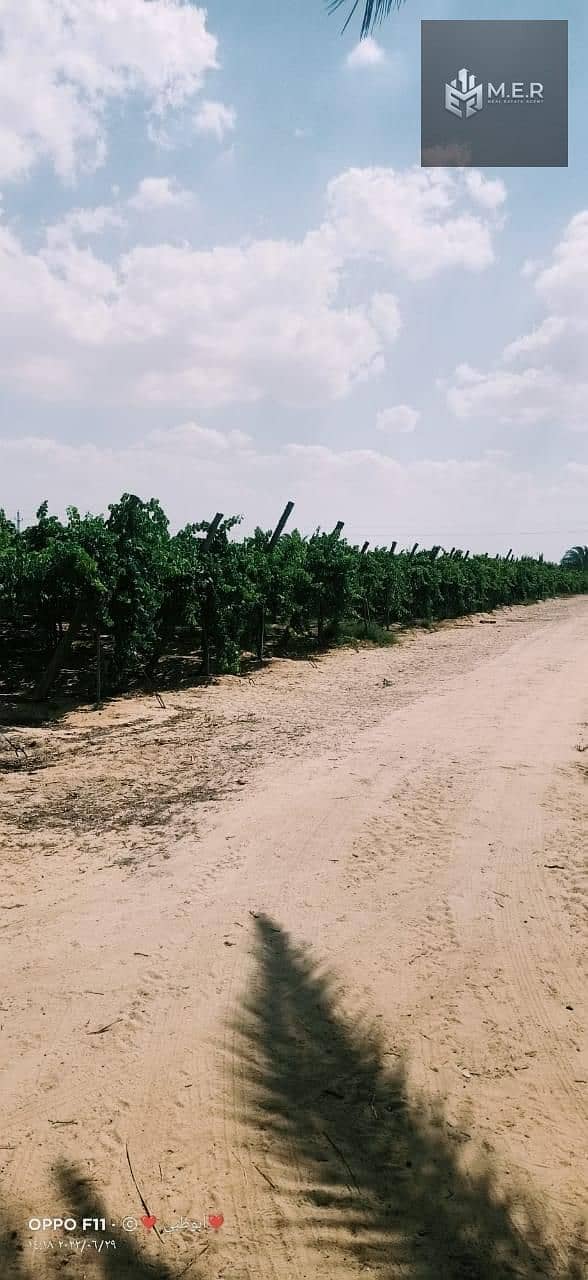 36 IMG-20251126-WA0227. jpg