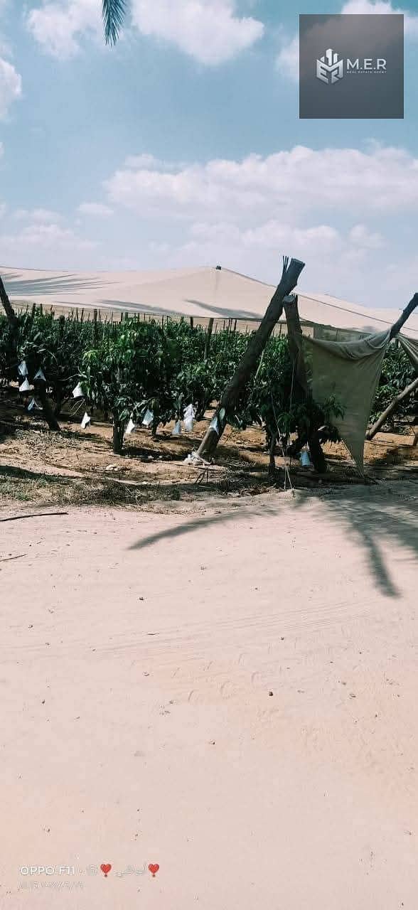 41 IMG-20251126-WA0232. jpg