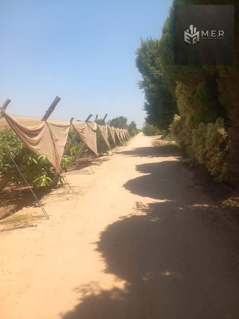 44 IMG-20251126-WA0235. jpg